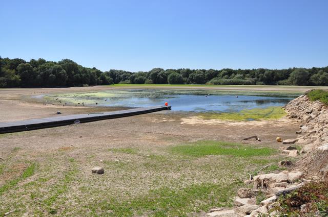  Hanningfield Reservoir with low water levels during the summer. 